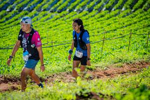 BIB: 2008
                            <button type="button" onclick="openModal(19161651)" class="btn btn-primary btn-sm float-right btn-popup" data-toggle="modal" data-target=".modal-high-quality">
                        <i class="fas fa-shopping-cart"></i> Add to Cart
                    </button>
                                            <button type="button" onclick="isThisMe(19161651, true)" class="btn btn-success btn-sm float-right btn-popup btn-isme hidden" data-toggle="tooltip" data-placement="bottom" title="นี่คือรูปของคุณใช่ไหม คลิกที่นี่เพื่อเอาเข้าอัลบั้ม">
                        <i class="fas fa-plus"></i> Add to album
                    </button>
                    <button type="button" onclick="isThisMe(19161651, false)" class="btn btn-warning btn-sm float-right btn-popup btn-isnotme hidden">
                        <i class="fas fa-ban"></i> Remove from album
                    </button>